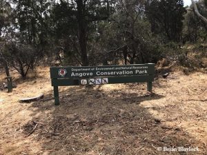 Angove Conservation Park