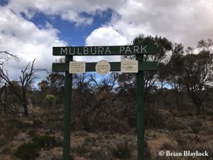 Mulbura Park Reserve
