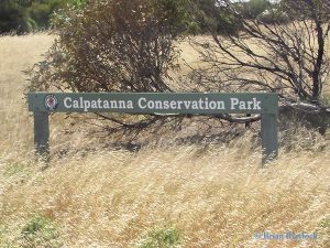 Calpatanna Conservation Park