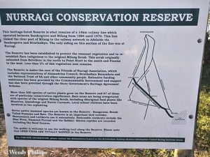 Nurragi Conservation Reserve
